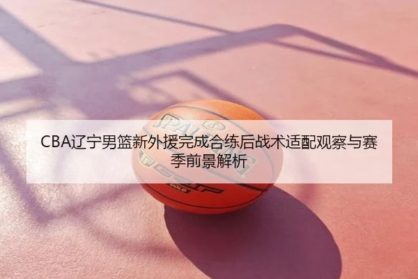 CBA辽宁男篮新外援完成合练后战术适配观察与赛季前景解析